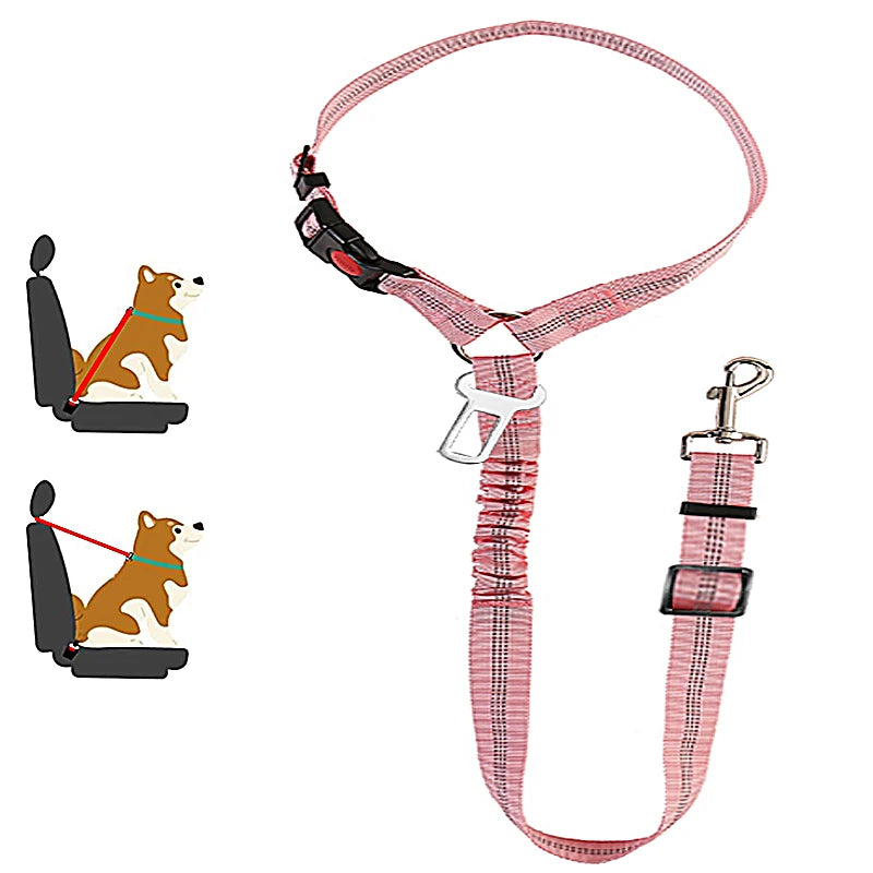 Collar de seguridad para perros 2 en 1