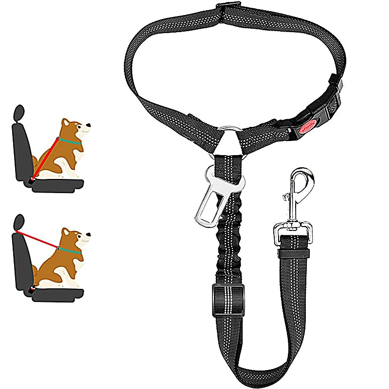 Collar de seguridad para perros 2 en 1