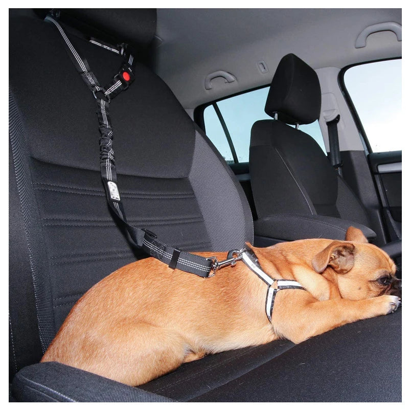Collar de seguridad para perros 2 en 1