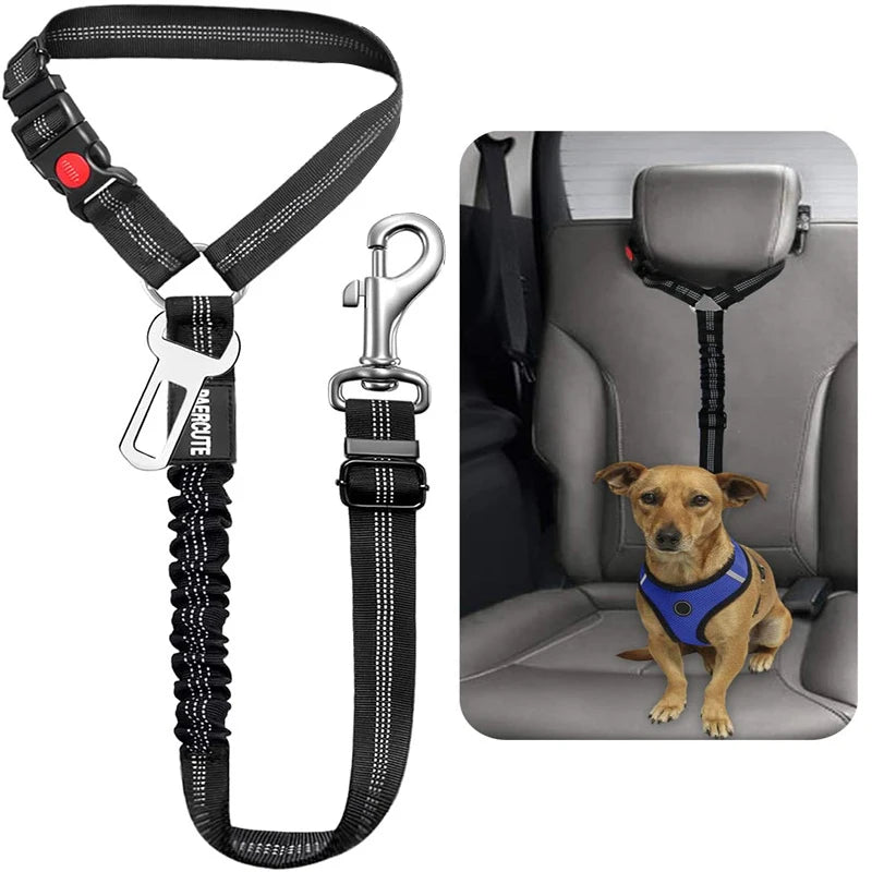 Collar de seguridad para perros 2 en 1